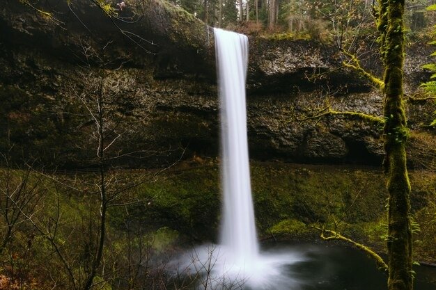 Waterfall stream